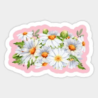 Daisies Sticker